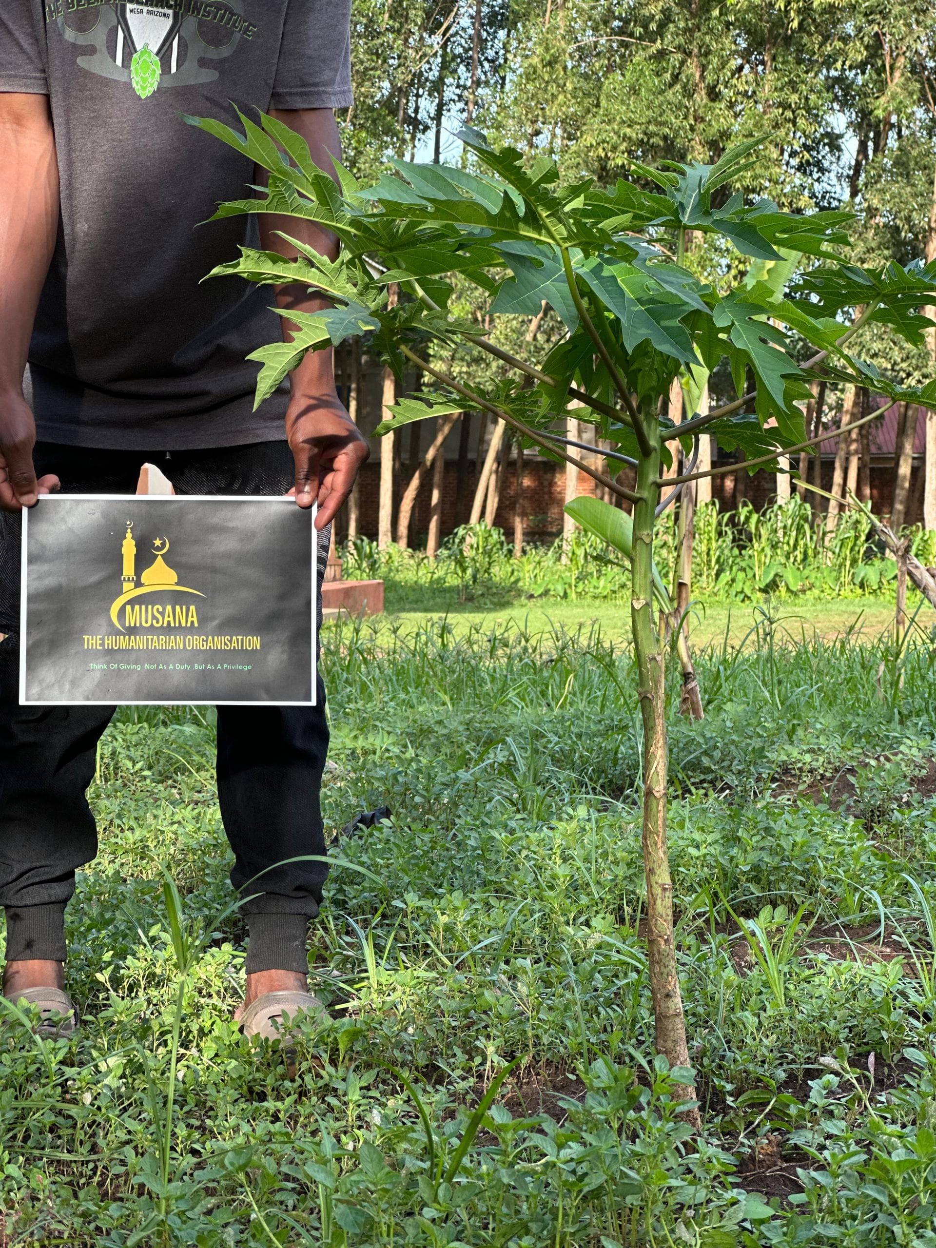 Community members planting trees with Musana
